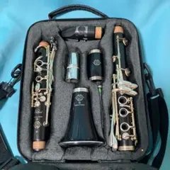 2026年最新】SELMER クラリネット本体の人気アイテム - メルカリ