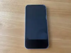 Apple iPhone 12 パープル 本体と充電ケーブル