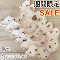 Item thumbnail for item 45f6e887-3720-4154-bdb7-29296fb8cec9