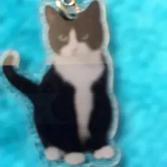 新品未使用で可愛い猫 アクリルキーホルダーです