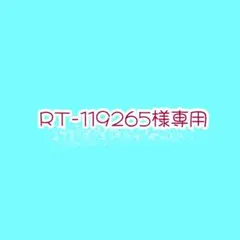 RT-119265様専用