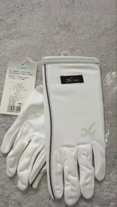 Item thumbnail for item 8220327e-b61a-4100-a177-c5bf4449a461