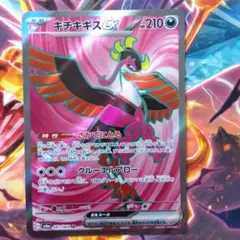 キチキギスex SR スカーレット&バイオレット 拡張パック ナイトワンダラー…のサムネイル