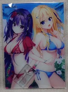 セレクトオブリージュ 発売記念抽選会 A賞 A4アクリルパネル 景品 セレクトオブリージュ 発売記念抽選会 A賞 A4アクリルパネル 景品