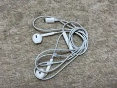 Item thumbnail for item 1fbae5f5-30ce-4e6e-8a37-1f3ed8bb11c7