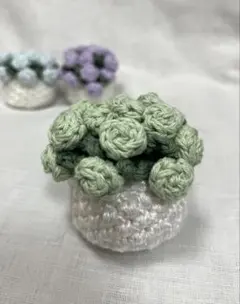 ミグシス様 リクエスト 2点 まとめ商品