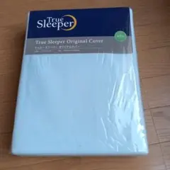 Item thumbnail for item 6b941229-0ecb-4ba9-be32-86c1a1402e84