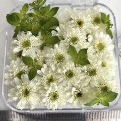 nene゜・*:.。❁様 リクエスト 4点 まとめ商品