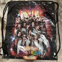 EXILE THE REASON 2025 ノベルティビニールバッグのサムネイル