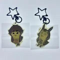 ハイキュー展　アニマルアクリルキャンディチャーム　木兎　赤葦