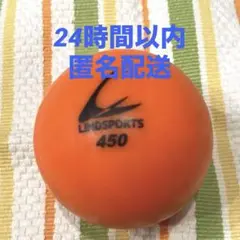 LINDSPORTS ⭐︎サンドボール450