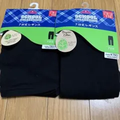 Item thumbnail for item e498f67a-c4c8-4054-9927-2b4c3f173eb6