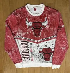 bulls バスケットボール