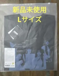 LESSERAFIM TOUR Photo S/S リメイクTシャツ XLサイズ - メルカリ