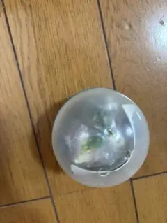 Item thumbnail for item 147a5c1e-69de-4d66-84e7-7d1018f20c59