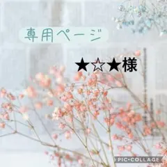 ★☆★様　専用