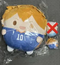 ハイキュー!! くじメイト ぬいくじ B賞 ふわコロりん 日向翔陽