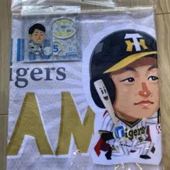 希少】大洋ホエールズ 横浜ベイスターズ ワッペン 鏡 マリンくん