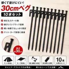 セール中！ 30cmペグ 10本 スチールペグ テント タープ キャンプ 黒のサムネイル