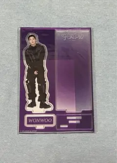 SEVENTEEN FOLLOW アクリルスタンド ウォヌ