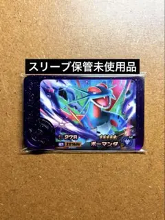 ポケモンフレンダ5弾　未使用　ボーマンダZワザ　スーパートレジャー　STドラゴン