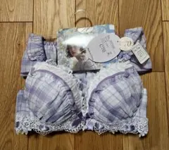 下着 セットアップ c70