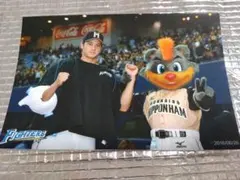 大谷翔平 2016 ハイライトフォト No.97 日本ハム 球団公式写真