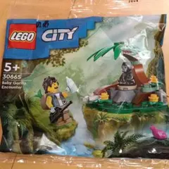 Item thumbnail for item d8742c89-80fc-4202-b5d2-305abdd09d39