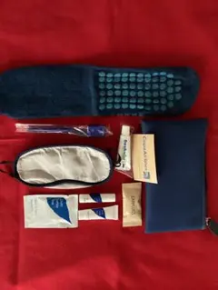 항공 편의시설 코파항공 코파항공 비즈니스석