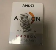 AMD Athlon 3000G CPU 本体