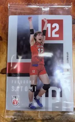 バレーボール女子日本代表ツインウエハース2026 福留慧美