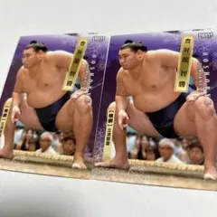 Item thumbnail for item ed12abd8-e9ca-4d87-98a2-aebfb454386b