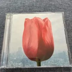 Item thumbnail for item 830413cd-26a8-4bb6-a8ba-cd8513dcd157