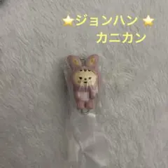 SEVENTEEN セブチ miniteen ジョンハン カプセルトイ - メルカリ