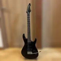 フロイトタイプ Aria ProII Vanguard アーム付 新品弦張替済 フロイトタイプ Aria ProII Vanguard アーム付 新品弦張替済