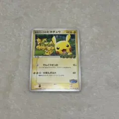 2026年最新】ポケパークのピカチュウの人気アイテム - メルカリ
