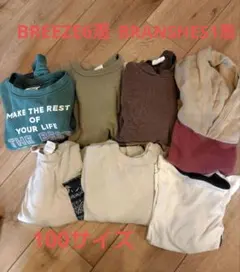 Item thumbnail for item 24b55e35-fb6c-4e2b-8b00-f8037817b486