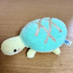 2025年最新】フリッカ かめの人気アイテム - メルカリ