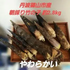 無農薬 新潟県産 孟宗竹 筍 採れたて 8本 箱込み5Kg - メルカリ