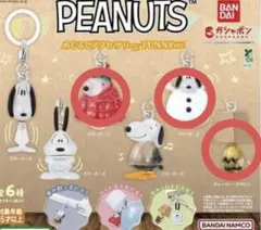 PEANUTS めじるしアクセサリー FUNNYver. スヌーピー チャーリー