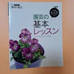 Item thumbnail for item 80b04b23-9b28-497b-81c2-4e048525c726