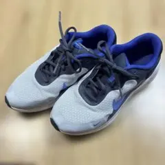 Nike レボリューションスニーカー 25cm