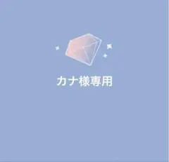 カナ様専用