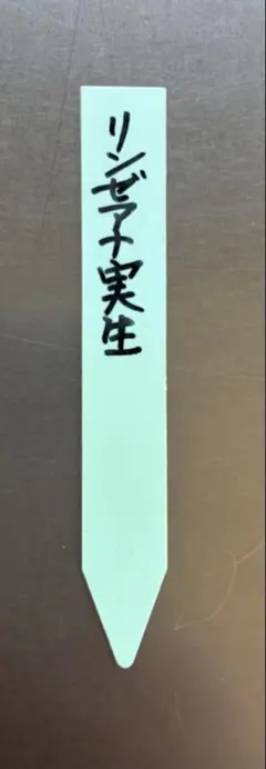 2026年最新】おらいさん苗の人気アイテム - メルカリ
