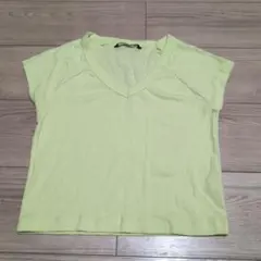 無地ティシャツ