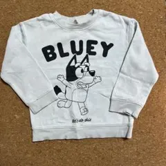 ブルーイトレーナー