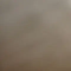 専用