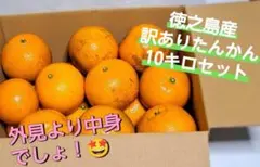2026年最新】徳之島たんかんの人気アイテム - メルカリ