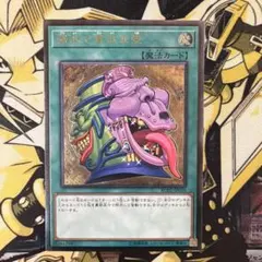 腹ペコリーナ様 リクエスト 2点 まとめ商品