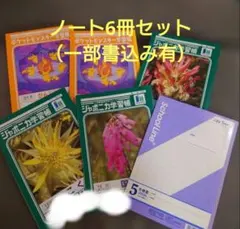 ★ノートセット6冊★ポケモン学習帳、ジャポニカ学習帳等（一部書込み有）のサムネイル